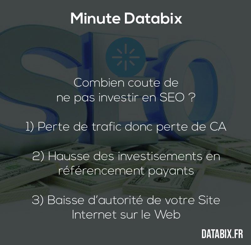 bilkher-combien-cela-coute-de-ne-pas-investir-en-seo-800x780-1